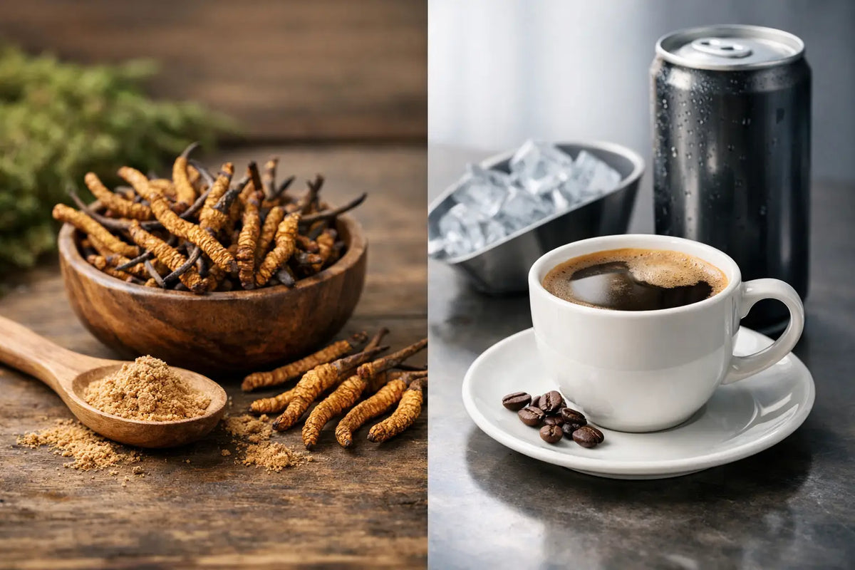 Cordyceps Versus Caffeine Energy Compared