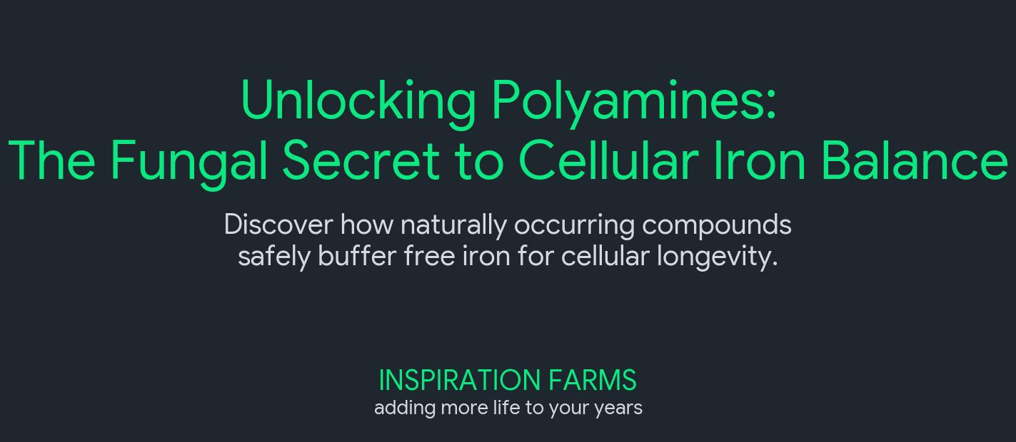 Unlocking Polyamines: How Functional Mushrooms Support Cellular Health and Iron Balance