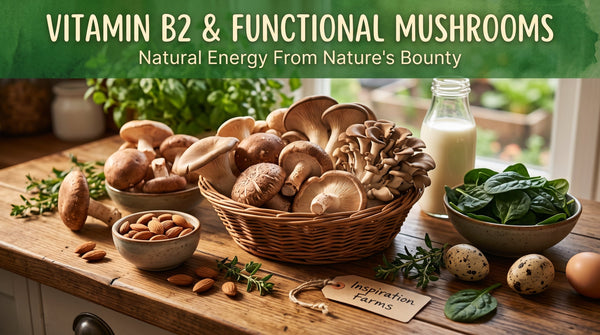 The Power of Vitamin B2