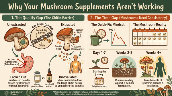 "I Tried Functional Mushrooms and They Didn't Work" (Here’s Why)