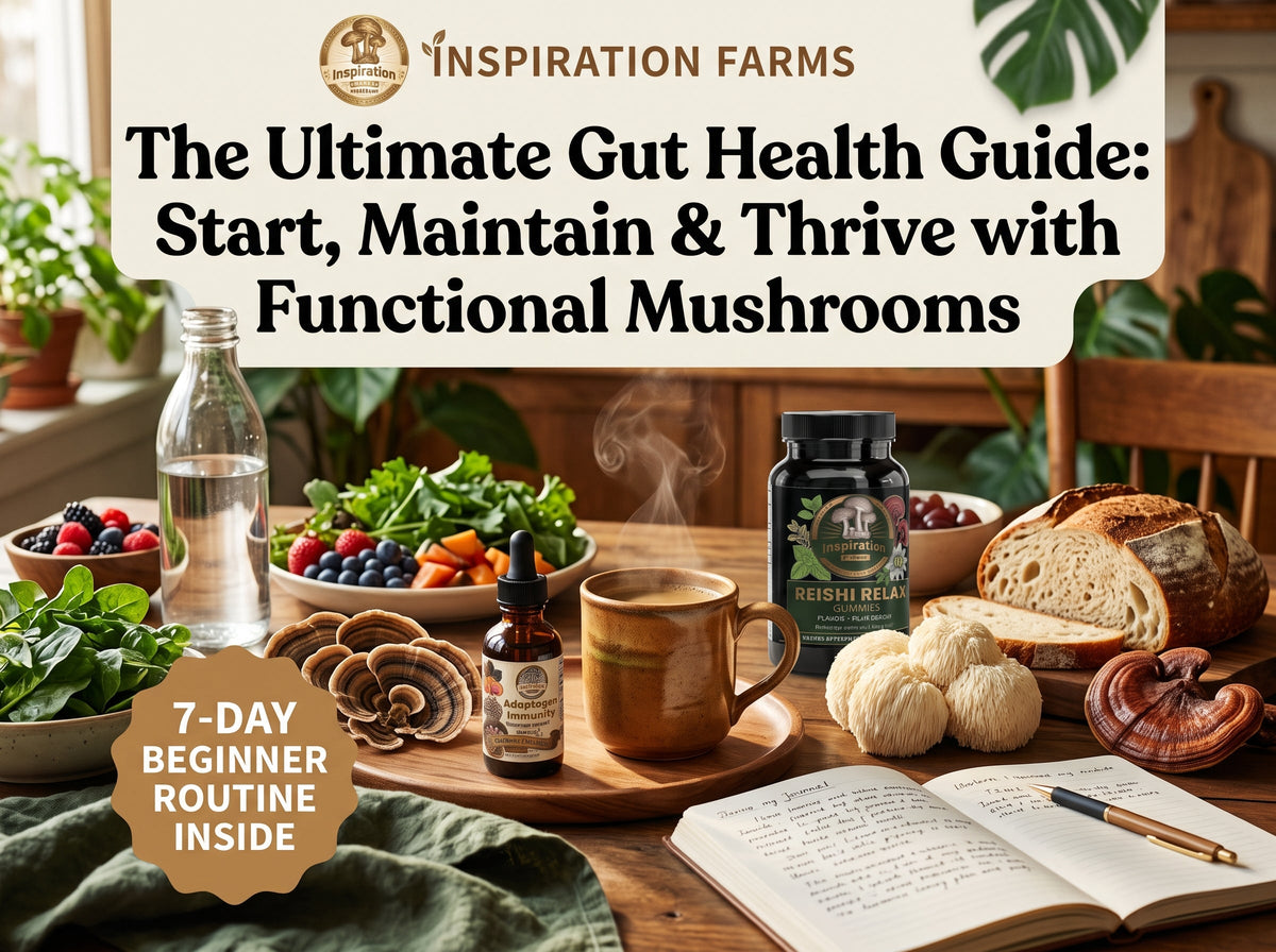 A Guide to Supporting Your Gut Health