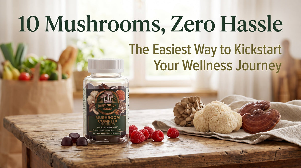 10 Mushrooms, Zero Hassle: The Easy Way to Kickstart Your Wellness Journey