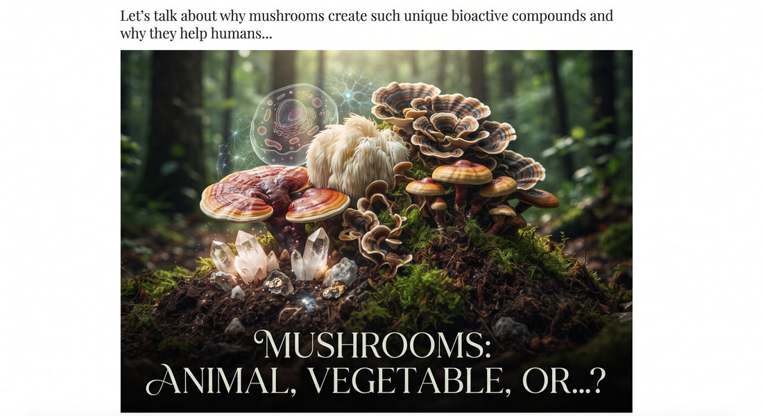 "Let’s talk about why mushrooms create such unique bioactive compounds and why they help humans..."