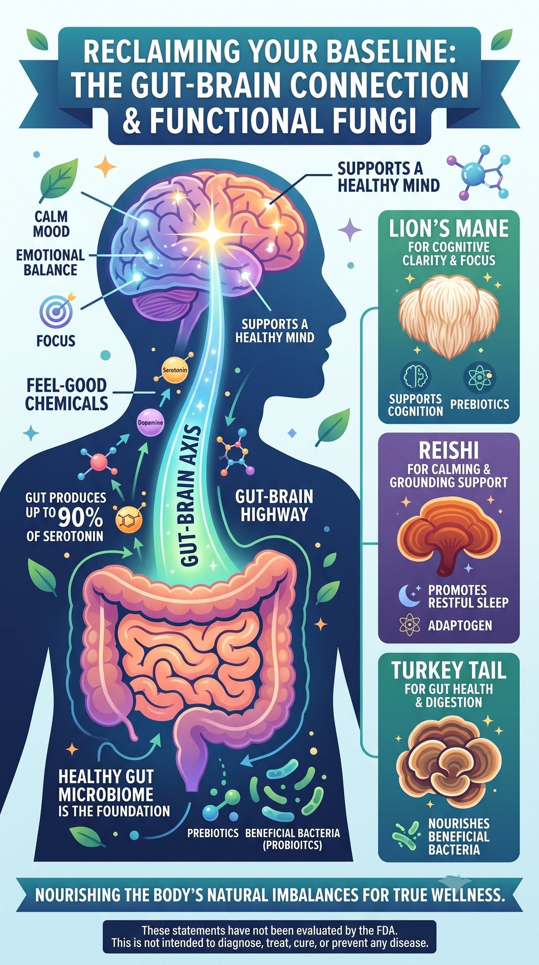 Exploring the Gut-Brain Axis for Better Mood