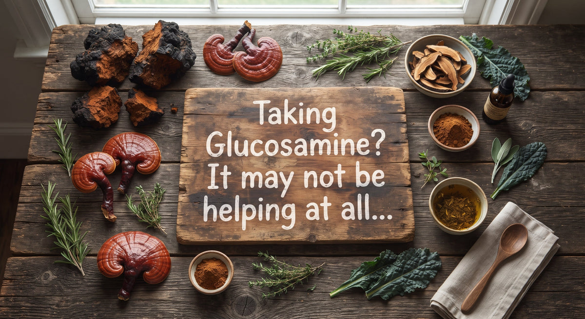 Rethinking Joint Support: Glucosamine may not do what you have been told