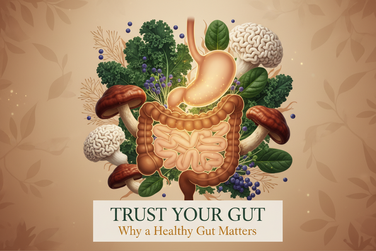 Trust your Gut
