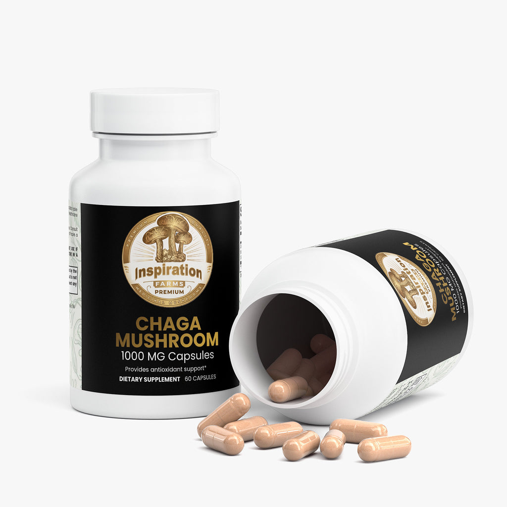 Chaga Mushroom